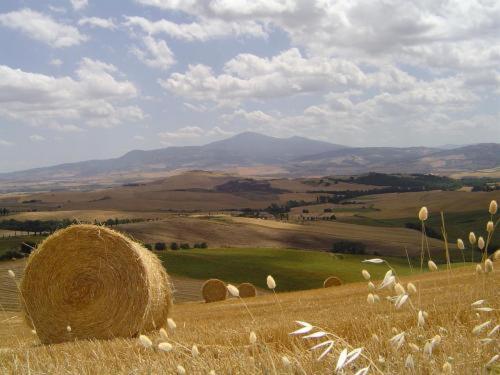 Agriturismo Colombaiolo Pienza Ngoại thất bức ảnh