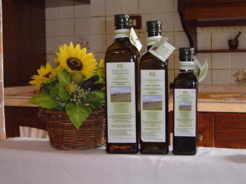 Agriturismo Colombaiolo Pienza Ngoại thất bức ảnh